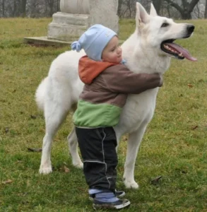 Dogs are family